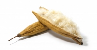 Coixí Nordream Kapok
