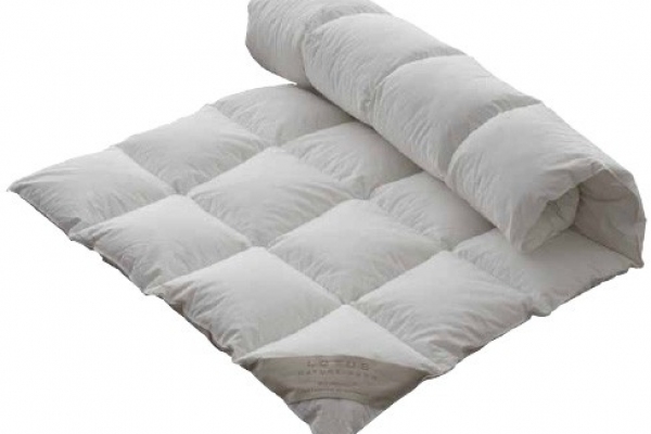 Topper Schramm Nature Down Light 05