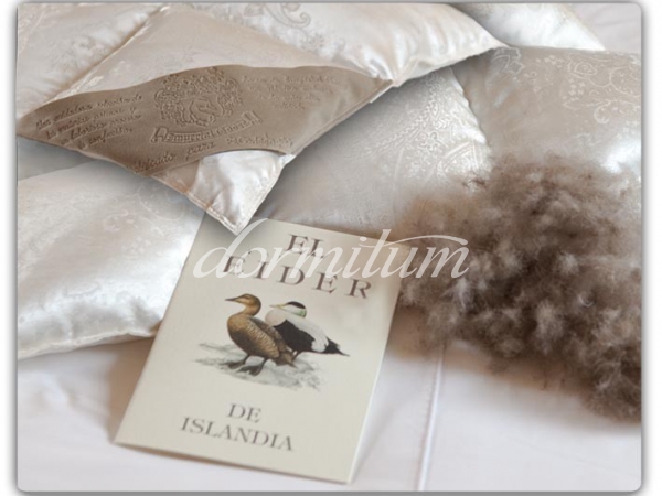 Nòrdic Gobi Eider 100gr/m²